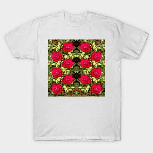 Red roses for those who love roses. T-Shirt by Marccelus